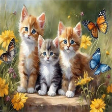 Lade das Bild in den Galerie-Viewer, Katze-Voll Square Diamond Painting-40x30cm
