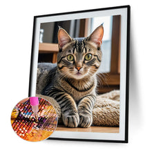 Lade das Bild in den Galerie-Viewer, Katze-Voll Round Diamond Painting-40x50cm