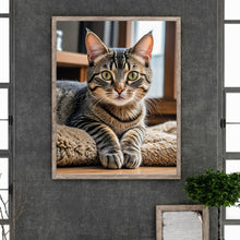 Lade das Bild in den Galerie-Viewer, Katze-Voll Round Diamond Painting-40x50cm