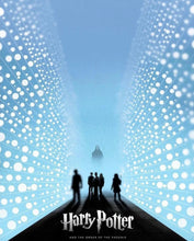 Lade das Bild in den Galerie-Viewer, Harry potter-Diamond Painting- 40*50