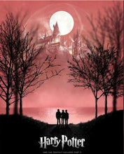 Lade das Bild in den Galerie-Viewer, Harry potter-Diamond Painting- 40*50
