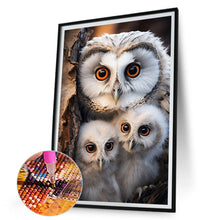 Lade das Bild in den Galerie-Viewer, Eule-Voll Diamond Painting-30x45cm