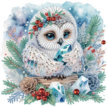Lade das Bild in den Galerie-Viewer, Eule – Teilweise spezielles Diamantgemälde – 30 x 30 cm