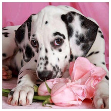 Lade das Bild in den Galerie-Viewer, Hund Blume - volle Diamant-Malerei - 30x30cm