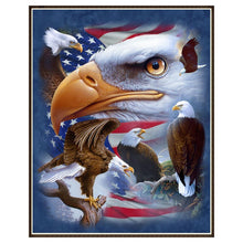 Lade das Bild in den Galerie-Viewer, Adler - volle Diamant-Malerei - 30x25cm