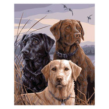 Lade das Bild in den Galerie-Viewer, Hund - volle Diamant-Malerei - 30x25cm