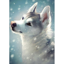 Lade das Bild in den Galerie-Viewer, Süße Tiere - voller runder Diamant - 40x30cm