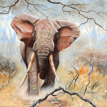 Lade das Bild in den Galerie-Viewer, Elefant - volle Diamant-Malerei - 30x30cm