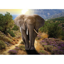 Lade das Bild in den Galerie-Viewer, Elefant - voller runder Diamant - 40x30cm
