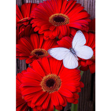 Lade das Bild in den Galerie-Viewer, Schmetterlingsblume - Voller runder Diamantmalerei (40 * 50 cm)
