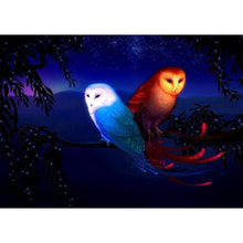 Lade das Bild in den Galerie-Viewer, Vögel - voller runder Diamant - 40x30cm