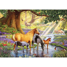 Lade das Bild in den Galerie-Viewer, Pferd - voller runder Diamant - 40x30cm