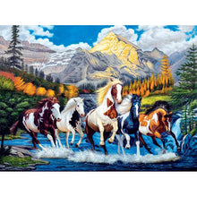 Lade das Bild in den Galerie-Viewer, Pferd - voller runder Diamant - 40x30cm