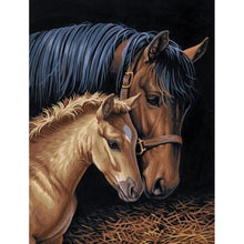 Lade das Bild in den Galerie-Viewer, Pferd - voller runder Diamant - 30x40cm