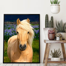 Lade das Bild in den Galerie-Viewer, Pferd - voller runder Diamant - 30x40cm
