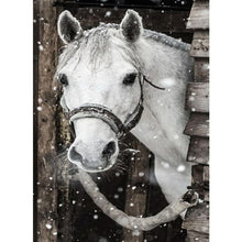 Lade das Bild in den Galerie-Viewer, Pferd - voller runder Diamant - 30x40cm