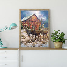 Lade das Bild in den Galerie-Viewer, Hirsch Natur - voller runder Diamant - 40x30cm