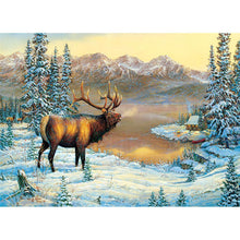 Lade das Bild in den Galerie-Viewer, Hirsch Natur - voller runder Diamant - 40x30cm