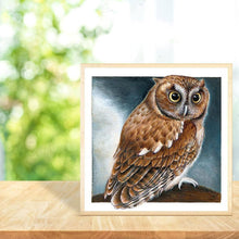 Lade das Bild in den Galerie-Viewer, Gloryart Eule - voller runder Diamant - 30x30cm