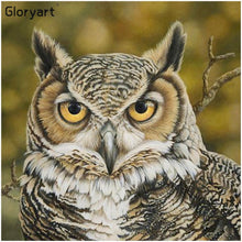 Lade das Bild in den Galerie-Viewer, Gloryart Eule - voller runder Diamant - 30x30cm