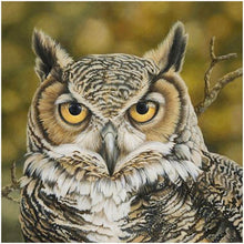 Lade das Bild in den Galerie-Viewer, Gloryart Eule - voller runder Diamant - 30x30cm
