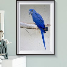 Lade das Bild in den Galerie-Viewer, Vogel - voller runder Diamant - 40x30cm