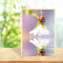 Lade das Bild in den Galerie-Viewer, Blume Marienkäfer - voller runder Diamant - 30x40cm