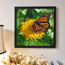 Lade das Bild in den Galerie-Viewer, Schmetterling - voller runder Diamant - 30x30cm