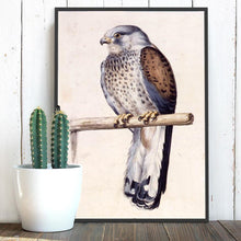 Lade das Bild in den Galerie-Viewer, Vogel - volle Diamant-Malerei - 40x30cm