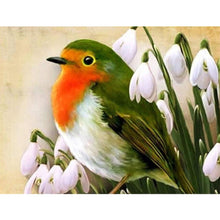 Lade das Bild in den Galerie-Viewer, Vogel - volle Diamant-Malerei - 30x40cm