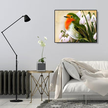 Lade das Bild in den Galerie-Viewer, Vogel - volle Diamant-Malerei - 30x40cm