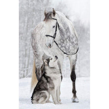 Lade das Bild in den Galerie-Viewer, Pferd Wolf - volle Diamant-Malerei - 30x40cm