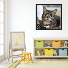 Lade das Bild in den Galerie-Viewer, Katze - volle Diamant-Malerei - 30x30cm