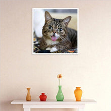 Lade das Bild in den Galerie-Viewer, Katze - volle Diamant-Malerei - 30x30cm