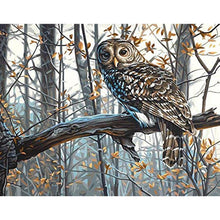 Lade das Bild in den Galerie-Viewer, Vogel - volle Diamant-Malerei - 40x30cm