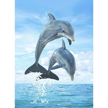 Lade das Bild in den Galerie-Viewer, Delphin - volle Diamant-Malerei - 40x30cm
