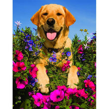Lade das Bild in den Galerie-Viewer, Hund Blume - volle Diamant-Malerei - 30x40cm