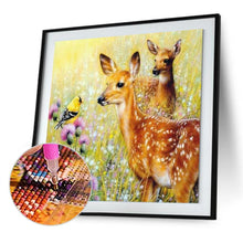 Lade das Bild in den Galerie-Viewer, Grashirsch - voller runder Diamant - 30x30cm