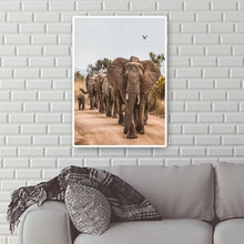 Lade das Bild in den Galerie-Viewer, Elefant auf der Straße - voller runder Diamant - 30x40cm