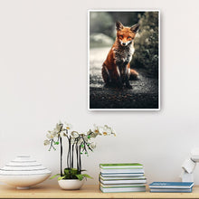 Lade das Bild in den Galerie-Viewer, Fuchs auf Straße Ornamente - voller runder Diamant - 30x40cm