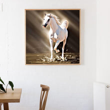 Lade das Bild in den Galerie-Viewer, Pferd - voller runder Diamant - 30x30cm