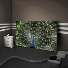 Lade das Bild in den Galerie-Viewer, Pfau - voller runder Diamant - 100x50cm