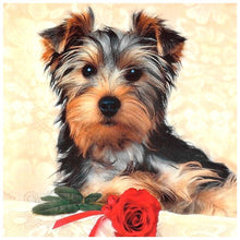 Lade das Bild in den Galerie-Viewer, Hund Tier - voller runder Diamant - 30x30cm
