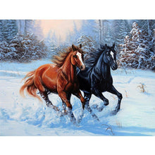 Lade das Bild in den Galerie-Viewer, Pferd Tier - voller quadratischer Diamant - 50x40cm