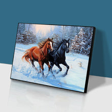 Lade das Bild in den Galerie-Viewer, Pferd Tier - voller quadratischer Diamant - 50x40cm