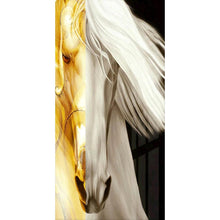 Lade das Bild in den Galerie-Viewer, Zwei - Farbe Pferd Set - voller runder Diamant - 45x85cm