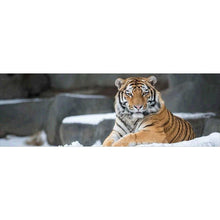 Lade das Bild in den Galerie-Viewer, Tiger Tier Kind - voller runder Diamant - 80x30cm