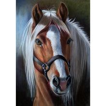 Lade das Bild in den Galerie-Viewer, Kreuz-Ctitch Pferd - voller quadratischer Diamant - 40x50cm