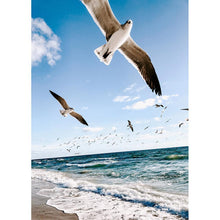 Lade das Bild in den Galerie-Viewer, Fliegende Möwe - voller runder Diamant - 30x40cm