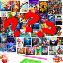 Lade das Bild in den Galerie-Viewer, Blind Box Zufällige Diamantmalerei